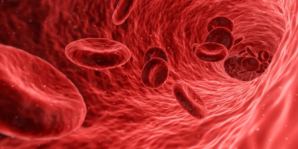 blood platelets flow